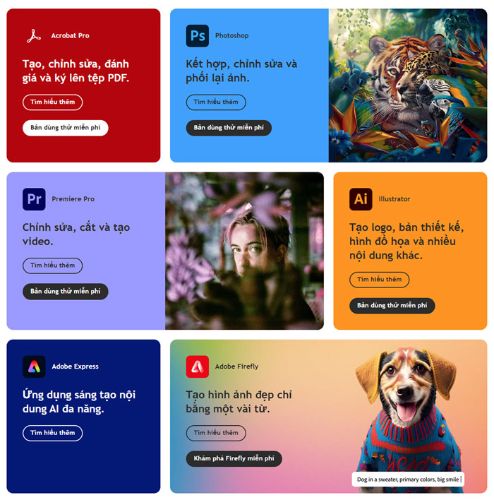 Mua Adobe bản quyền (Adobe All Apps) Giá Rẻ, Bảo Hành 100%